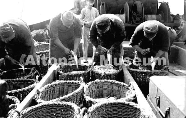 Das Schlachten der Fische (Nr. 40)