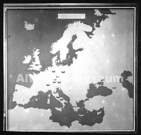 Karte über die Verbreitung der verschiedenen Schmetterlingsabarten in Mitteleuropa