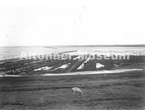 Geologische Sammlung