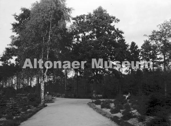 Partie im Volkspark