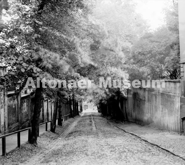 Van-der-Smissen-Allee von der Palmaille gesehen