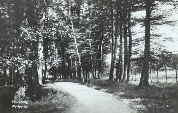 Pinneberg, Waldpartie. 3.