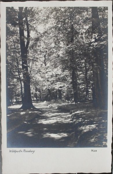 Waldpartie Pinneberg