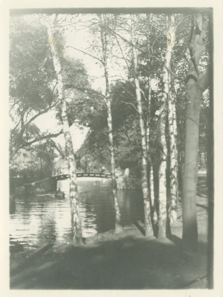 Alster oder Nebenarm: Blick vom Ufer auf eine kleine Brücke