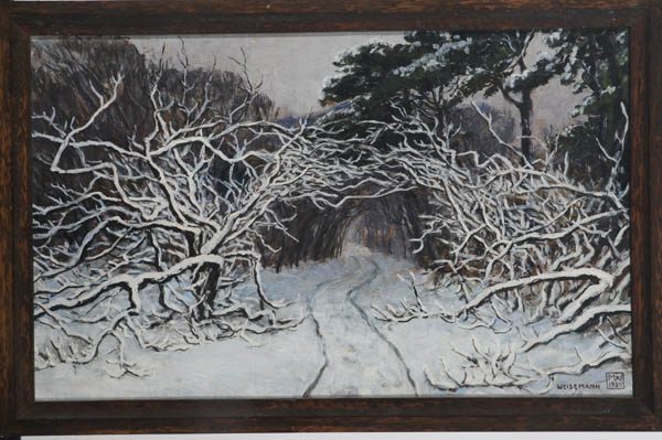 Waldweg im Schnee