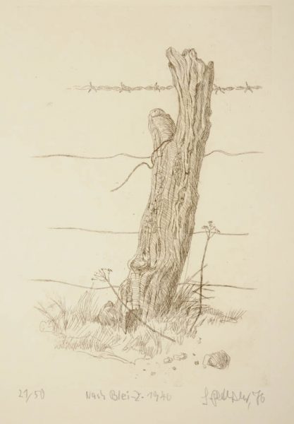 (Baumstamm)