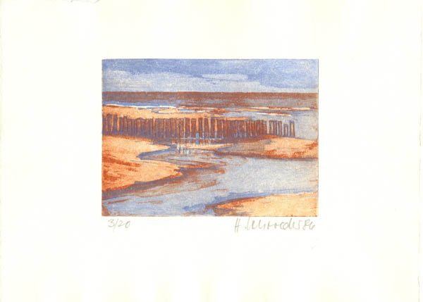 (Strand mit Priel und Buhne)