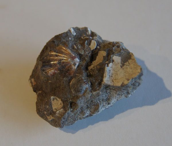 Slider Bild - http://www.europeana.eu/rights/rr-r/