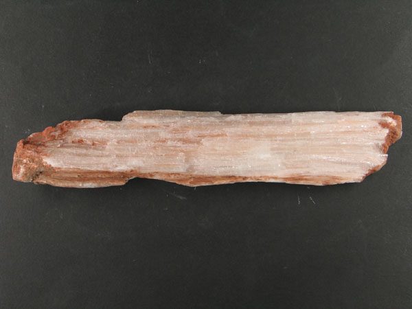 Slider Bild - http://www.europeana.eu/rights/rr-r/