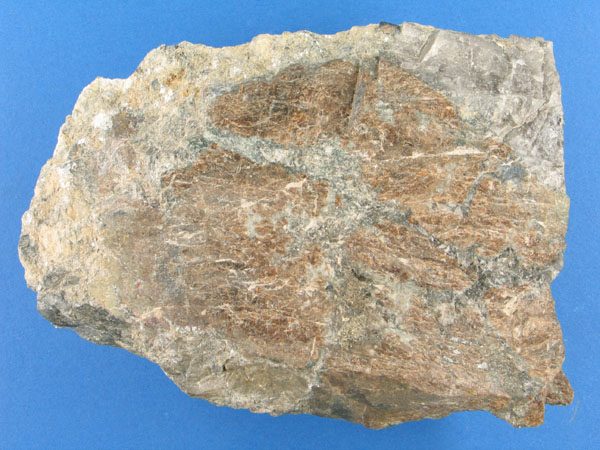 Slider Bild - http://www.europeana.eu/rights/rr-r/