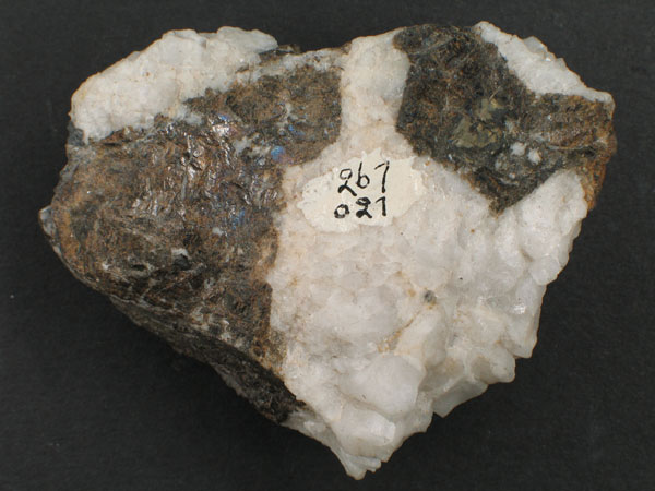Slider Bild - http://www.europeana.eu/rights/rr-r/