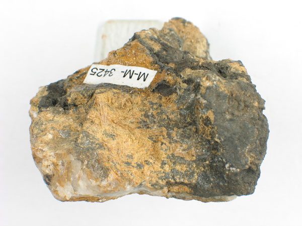 Einzelobjektansicht Museen Schleswig Holstein & Hamburg