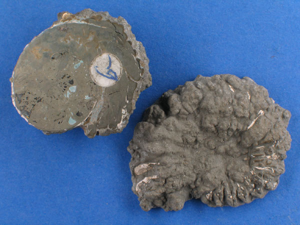 Slider Bild - http://www.europeana.eu/rights/rr-r/