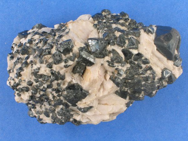 Einzelobjektansicht Museen Schleswig Holstein & Hamburg