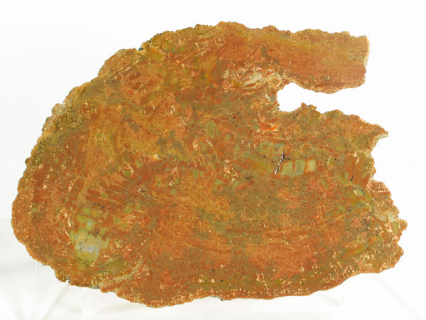 Slider Bild - http://www.europeana.eu/rights/rr-r/