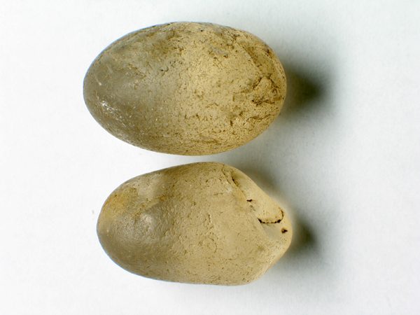 Slider Bild - http://www.europeana.eu/rights/rr-r/