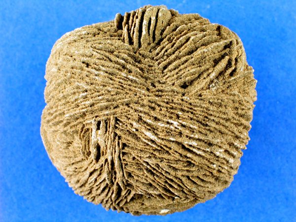 Gipsrosette