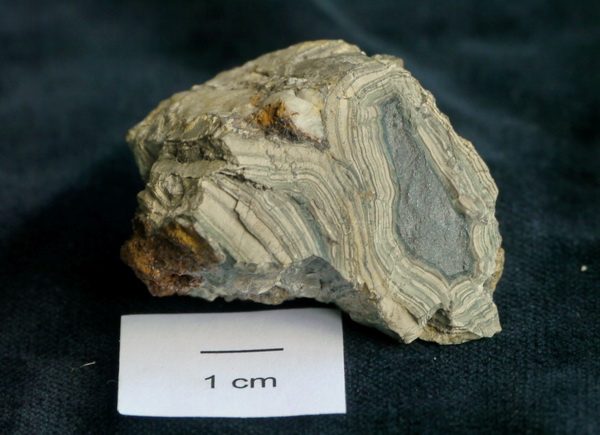 Anglesit mit Bleiglanzkern