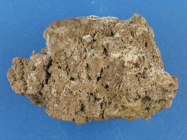 Slider Bild - http://www.europeana.eu/rights/rr-r/