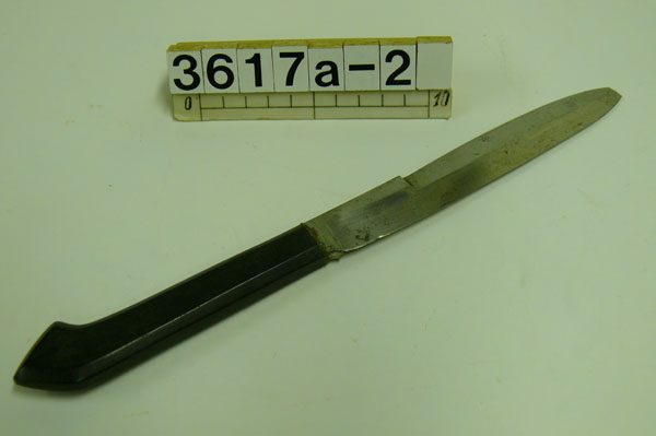 Chirurgeninstrument