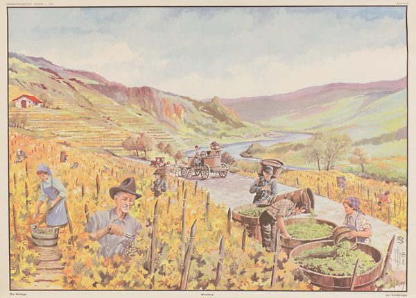 Weinlese