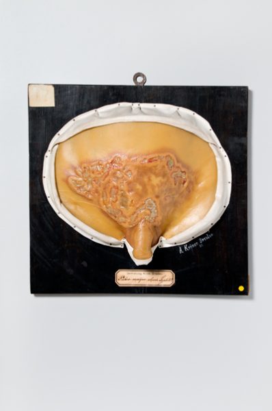 Slider Bild - CC BY-SA 4.0