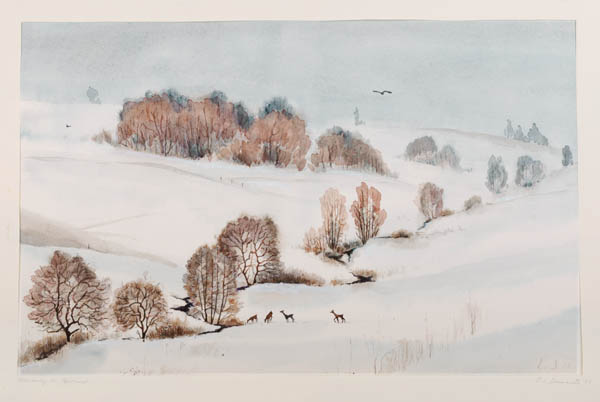 Wintertag im Upland