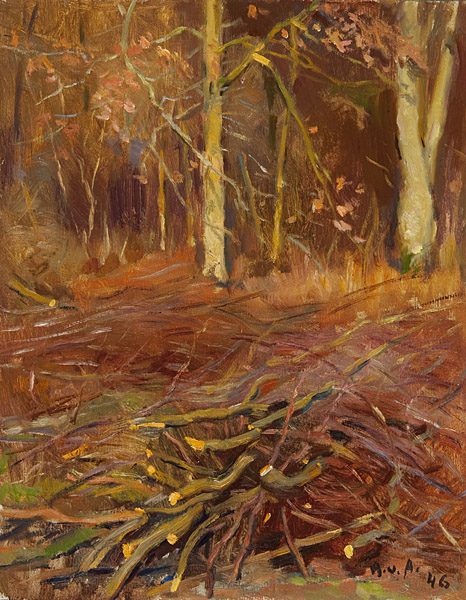 Wald mit Bruchholz im Vordergrund