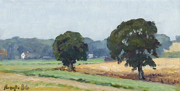 Landschaft mit zwei Bäumen