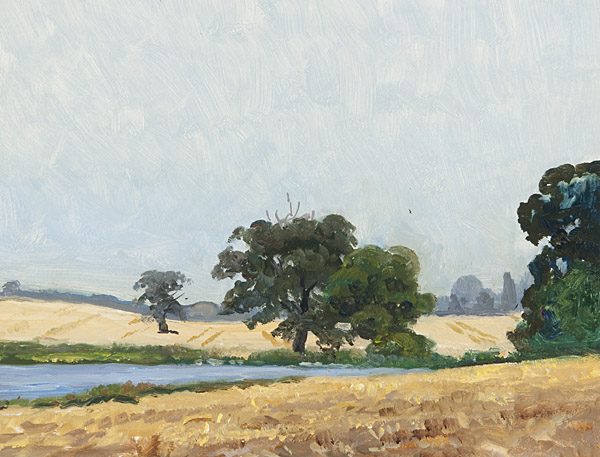 Landschaft - Hochsommer mit Eichen