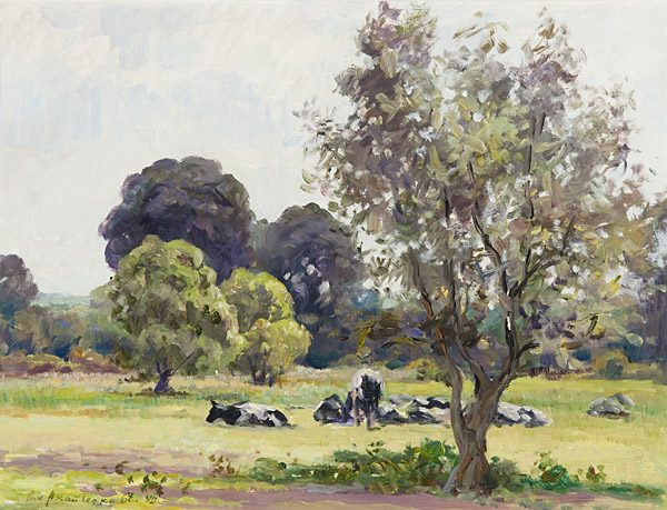 Kühe auf der Weide mit Baum