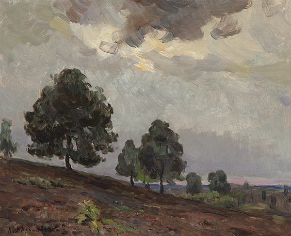 Bäume in der Lüneburger Heide