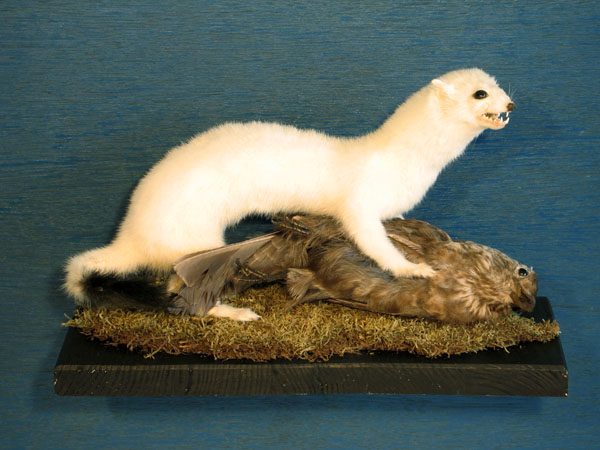 Slider Bild - CC BY-SA 4.0