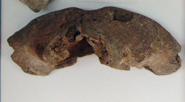 Slider Bild - CC BY-SA 4.0