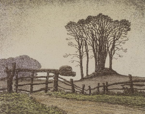 "Hünengrab im Dänischen Wohld."