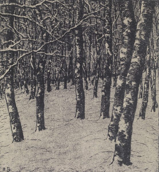 Birkenhang im Winter (Probedruck)