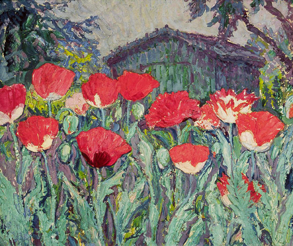Mohnblumen