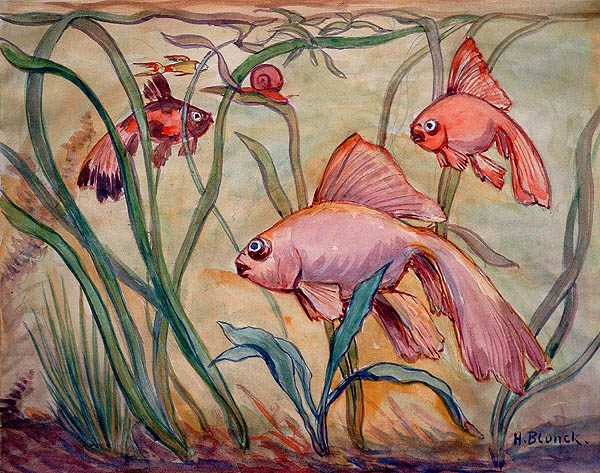 Schleierfische.