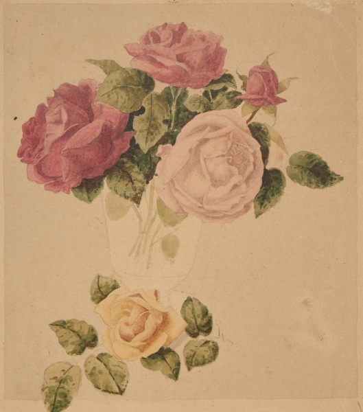 o.T. (Rosen)