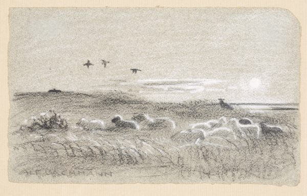 o.T. (Landschaft mit Schafherde)