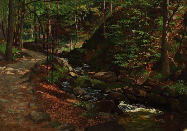 o.T  (Waldbach in der Sächsischen Schweiz)