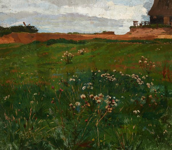 Flockenblumen-Studie