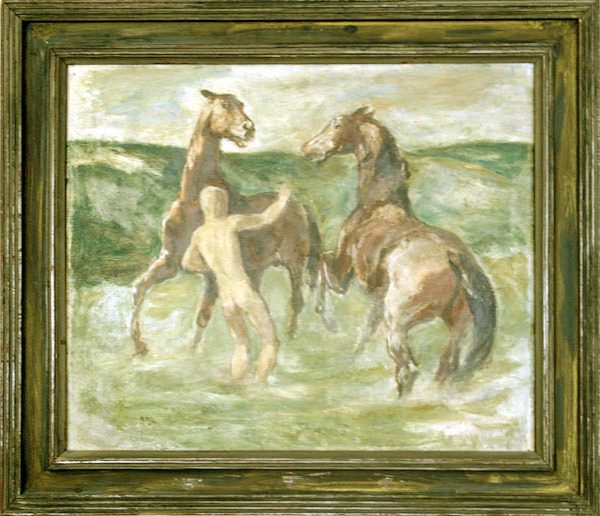 Trakehner in der Schwemme