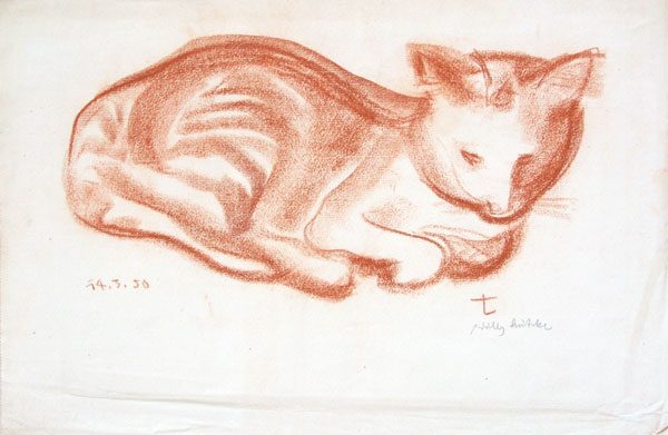 Katze