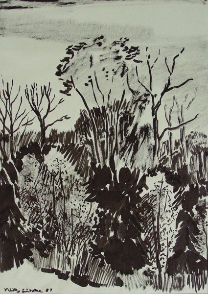 Landschaftsausschnitt