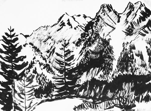 Gebirgslandschaft