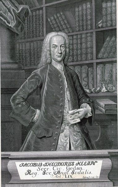Jacobus Theodorus Klein